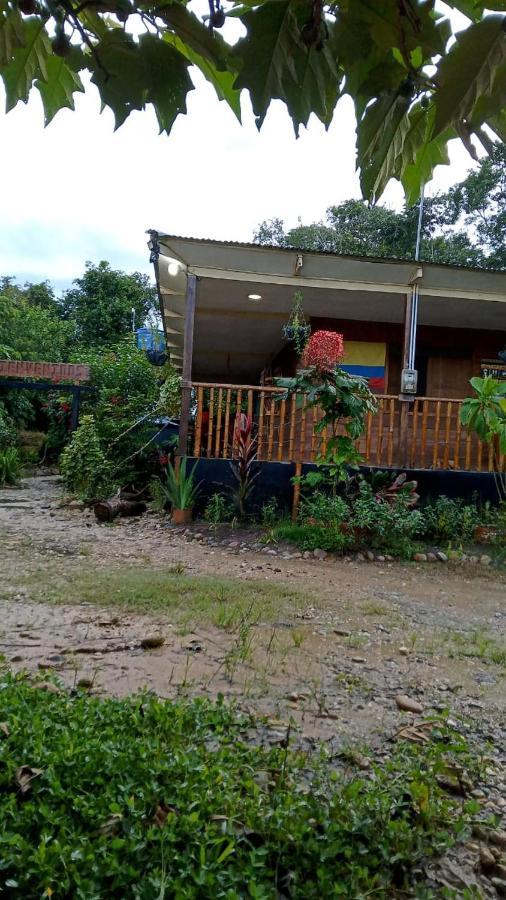 La Macarena Hostal Cano Nevera المظهر الخارجي الصورة